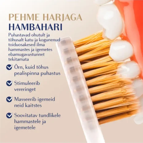 hambaharjade-4-pakk-royal-denta-gold-soft-pehmed harjased royal Denta Soft gold pehmete harjaste omadused